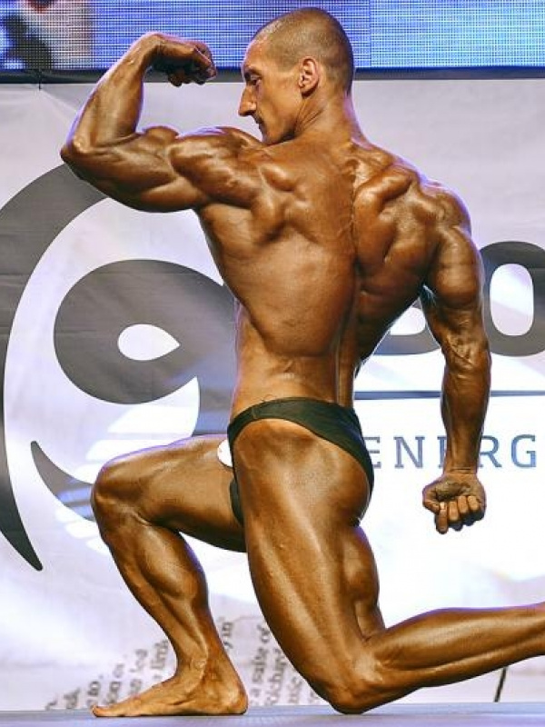  MSR 2011 - zlato