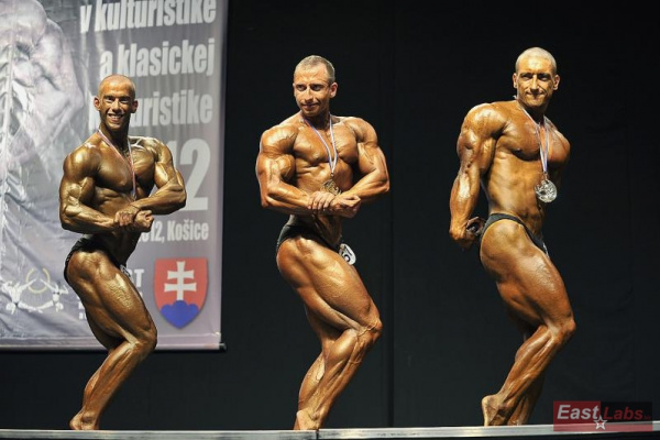MSR 2012 - striebro