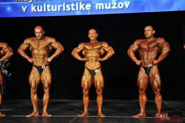 MSR 2013 Žilina - zlato