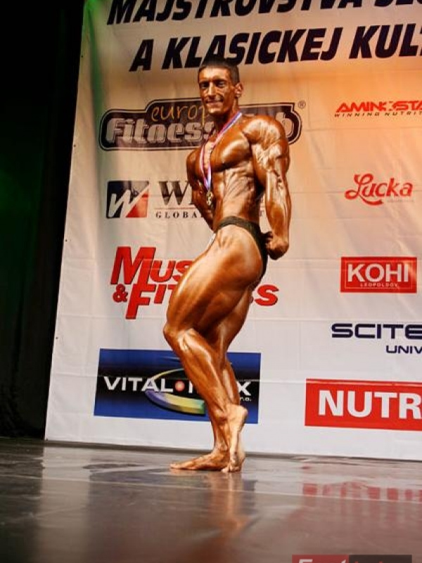  MSR 2008 - zlato