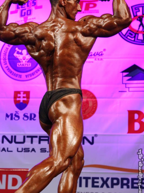  MSR 2008 - zlato