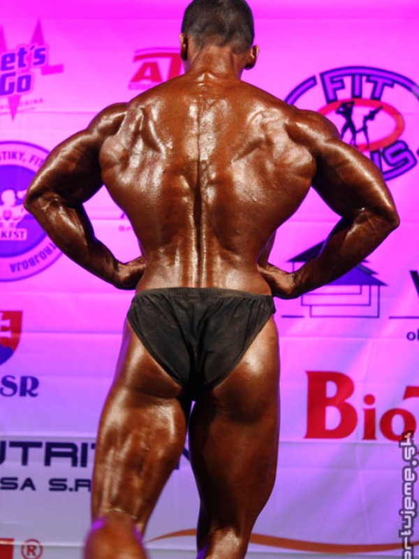  MSR 2008 - zlato
