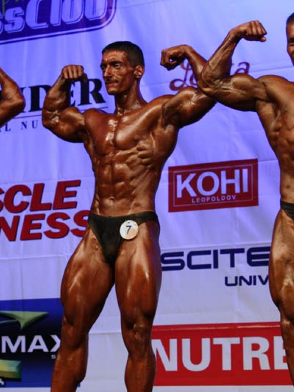  MSR 2008 - zlato