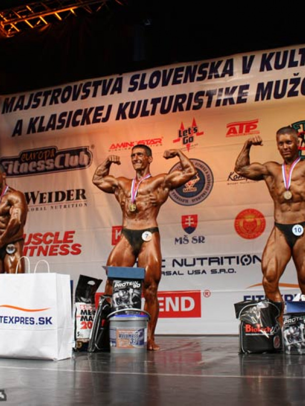  MSR 2008 - zlato