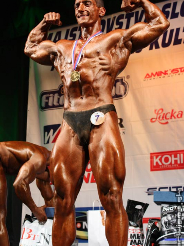  MSR 2008 - zlato