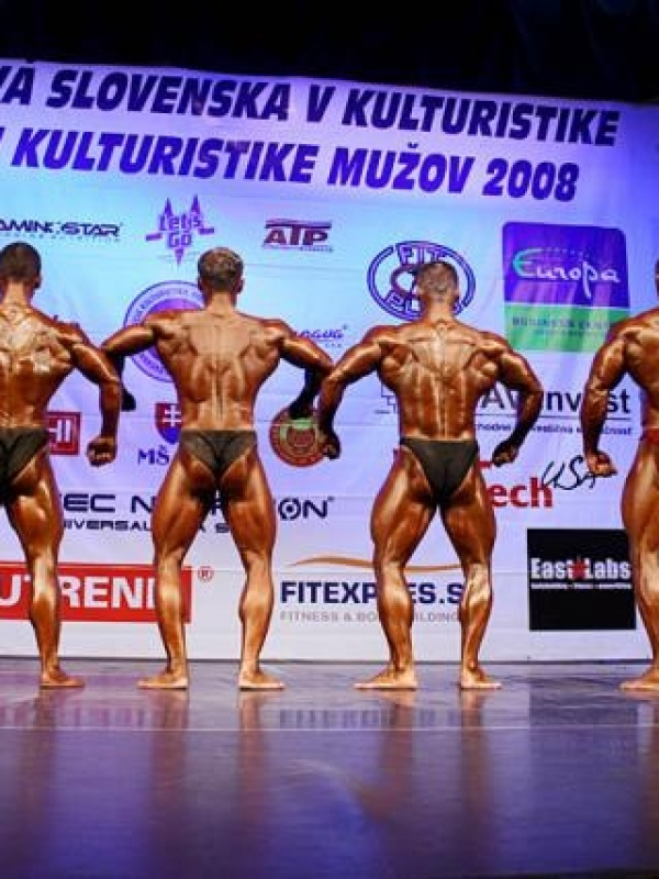  MSR 2008 - zlato